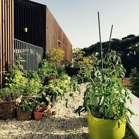 Attique Vue Et Campagne, La A Pied Appartement *